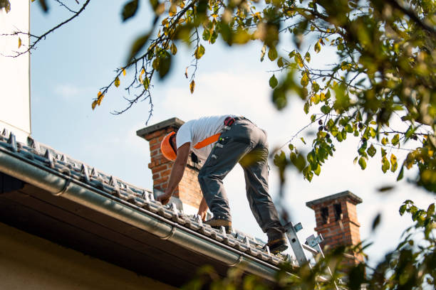 Best Tile Roofing Contractor  in Williamson, WV