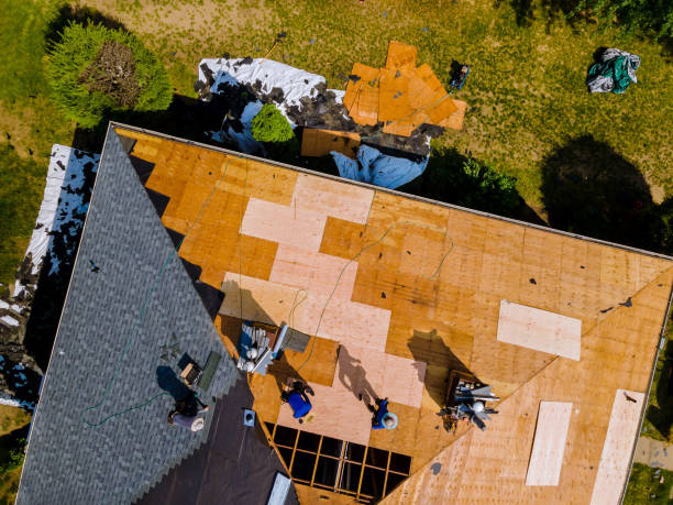 Best Commercial Roof Installation  in Williamson, WV