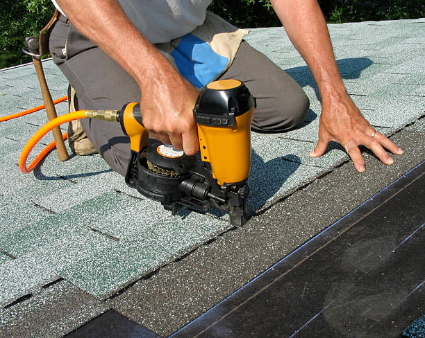 Best Local Roofing Companies  in Williamson, WV