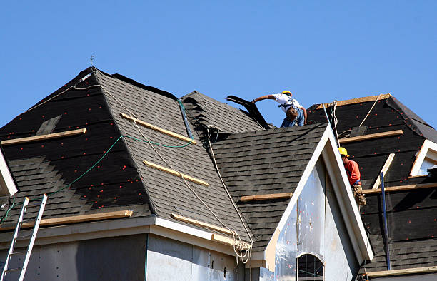 Best Shingle Roofing Installation  in Williamson, WV
