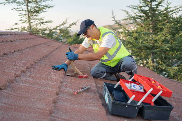 Best New Roof Installation  in Williamson, WV