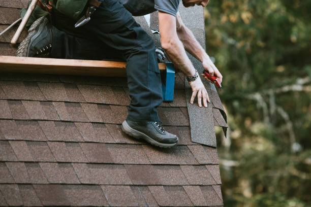 Best Affordable Roofing Company  in Williamson, WV