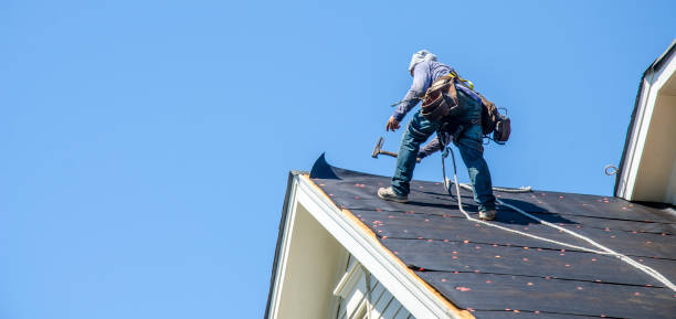 Best Emergency Roof Repair  in Williamson, WV